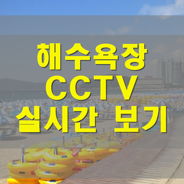  해수욕장 CCTV로 실시간 바다 영상 보기