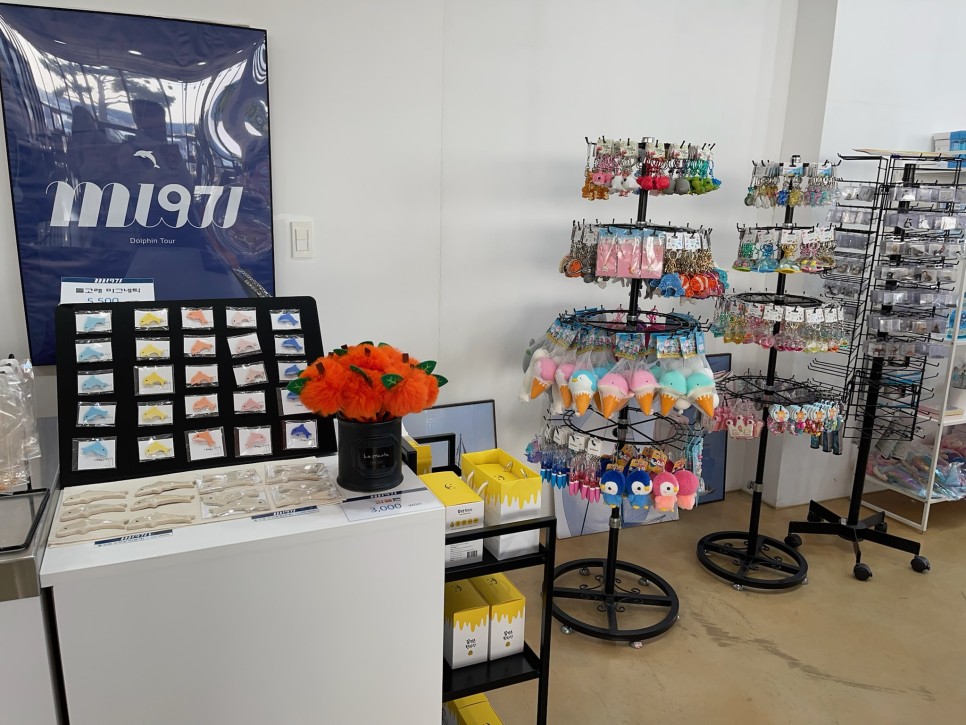 겨울 여행지 겨울 국내 여행지 :제주도 36