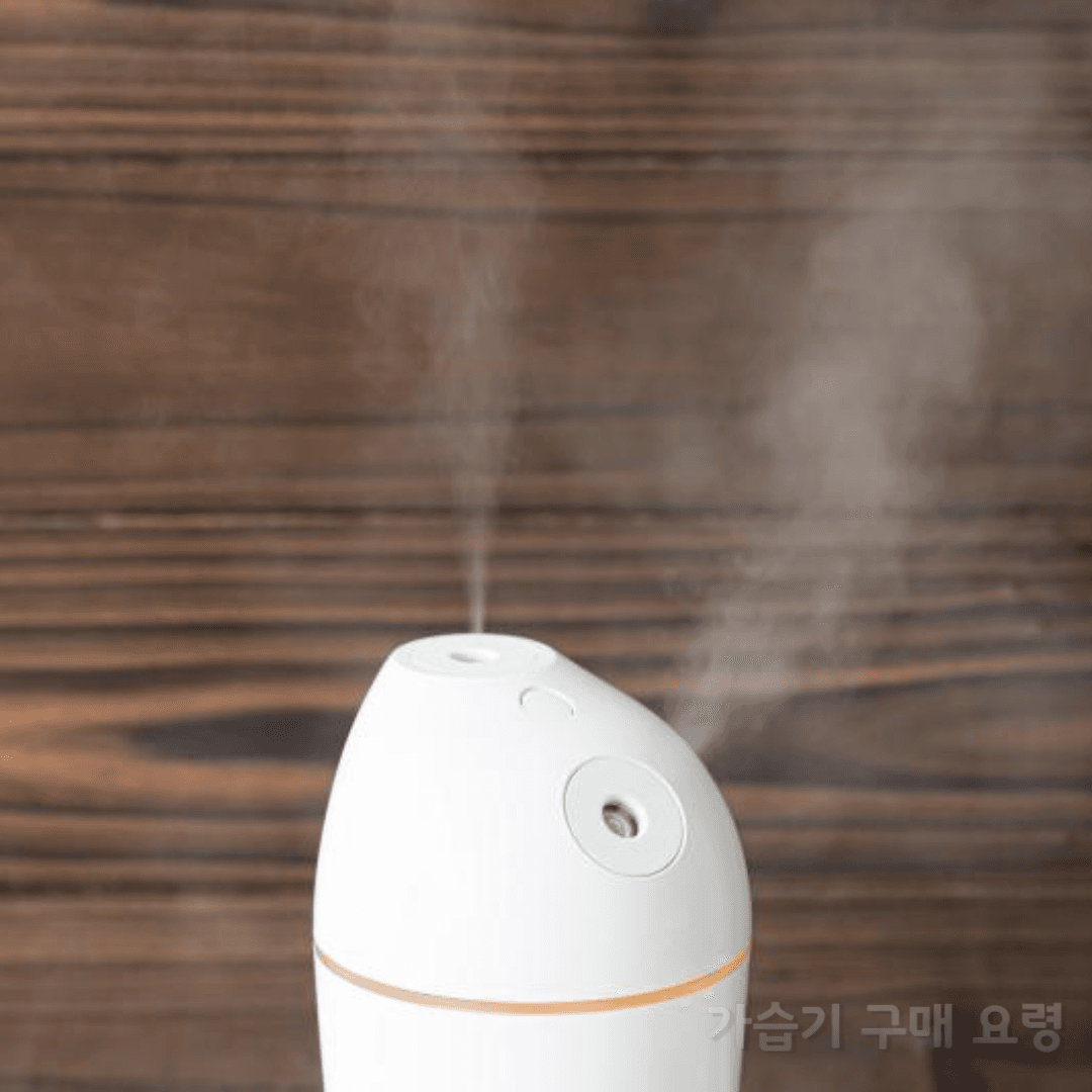 가습기 구매요령