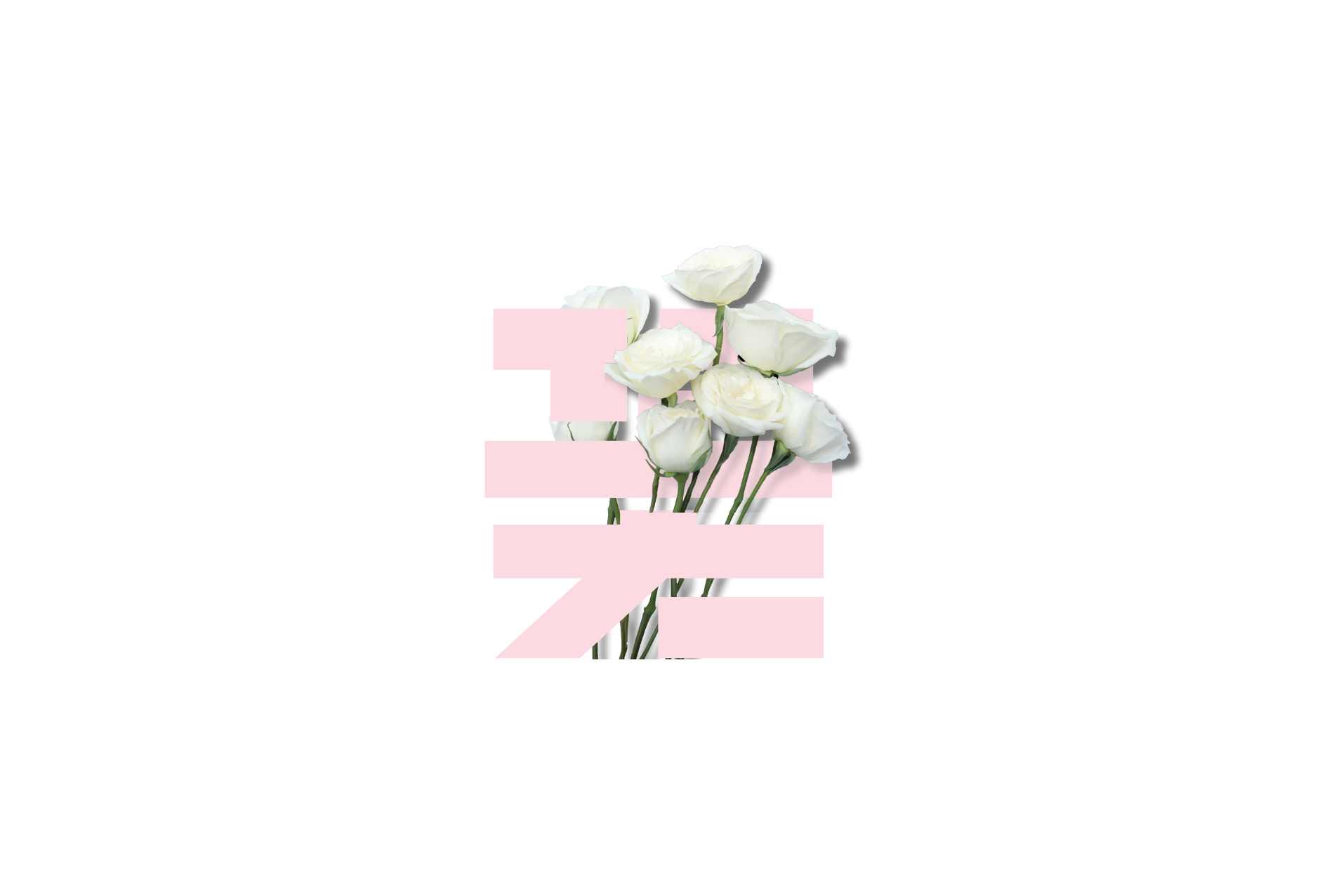 canva flower text effect img main