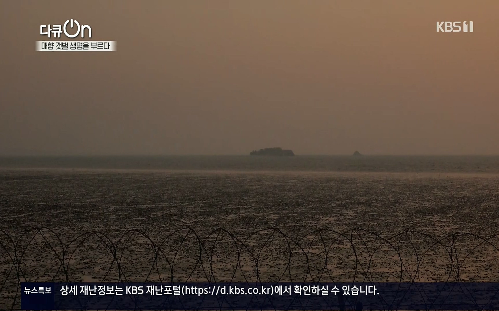 다큐 On.E151.220805p.H264-F1RST.mp4_20220806_193417.853.jpg