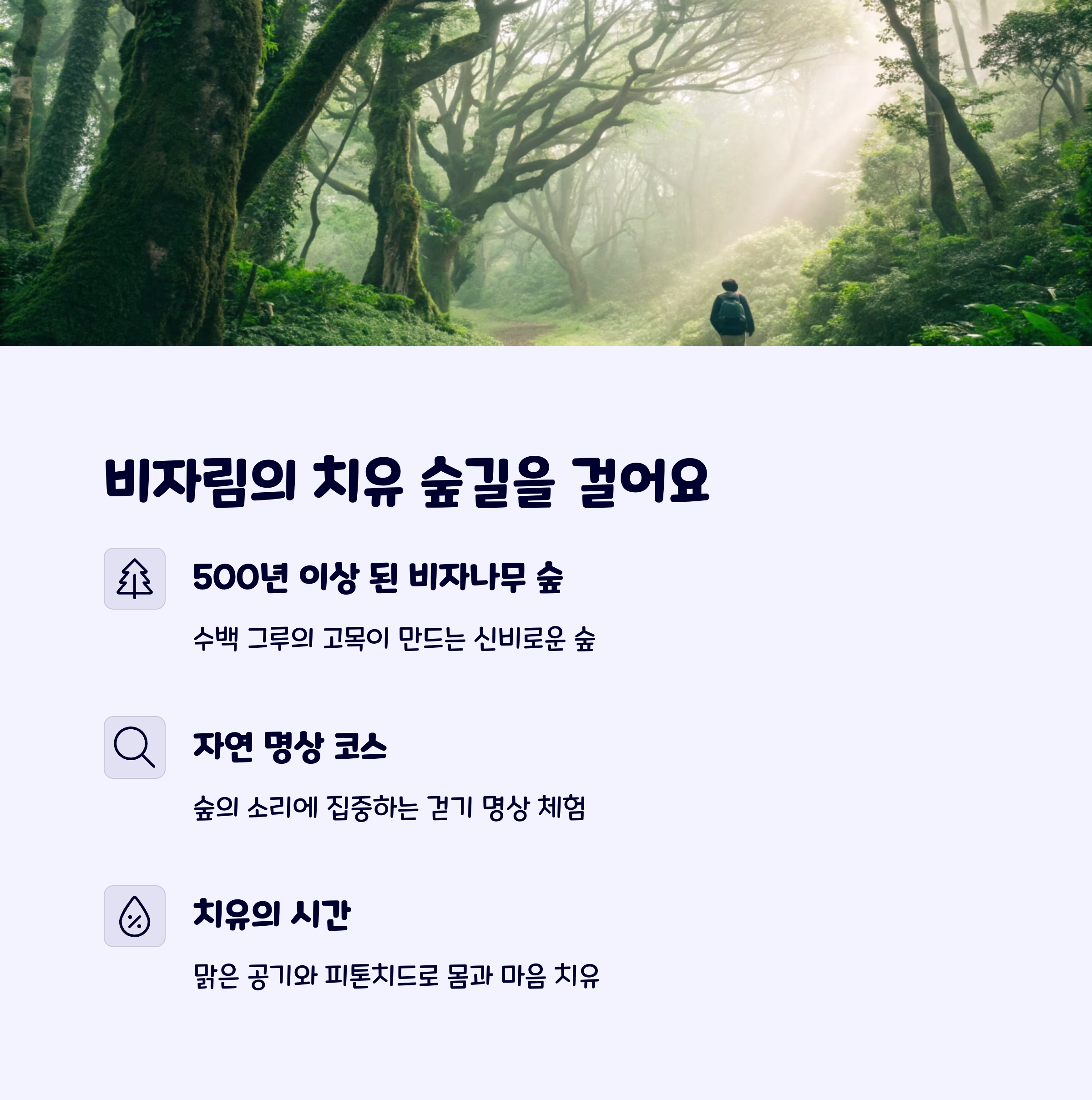 비자림