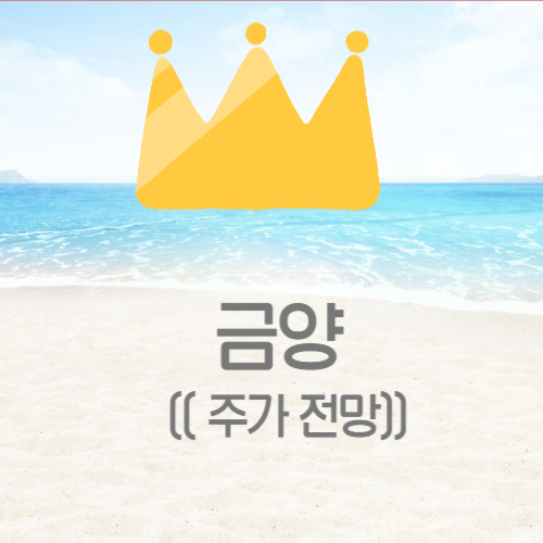  금양 주가 전망 (매출액 영업이익)