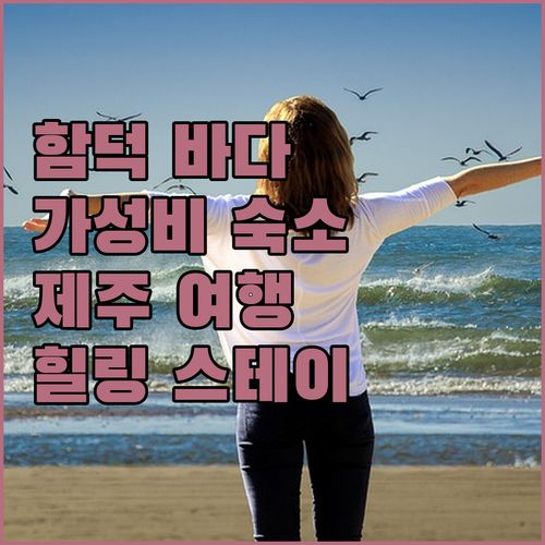 함덕비치스테이제주.. 갑작스런 제주 