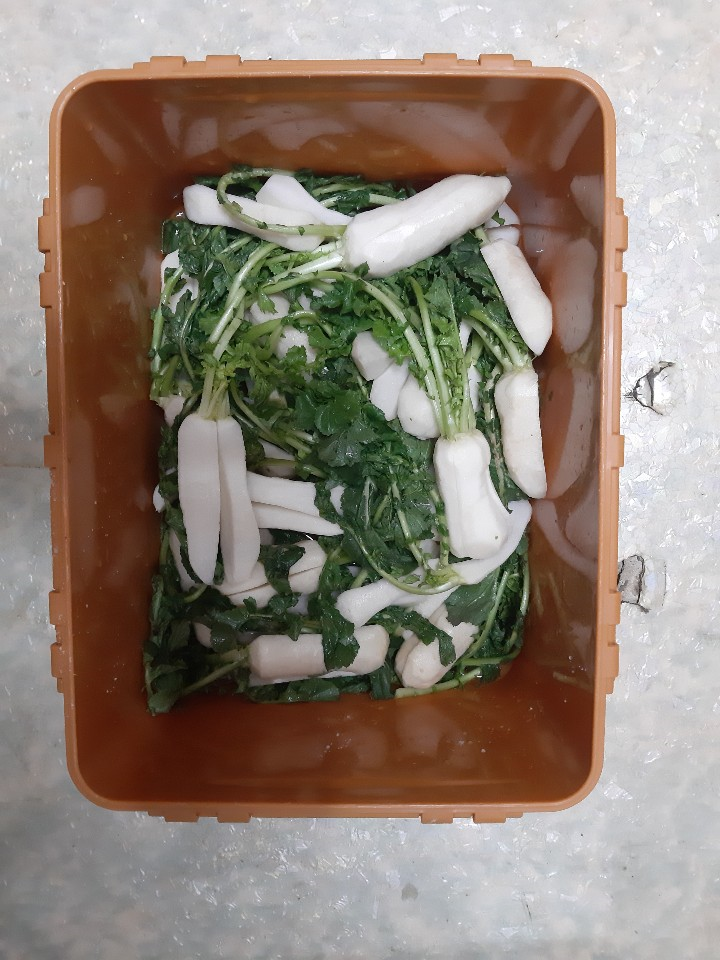  요리 치매 의 김장 담그기