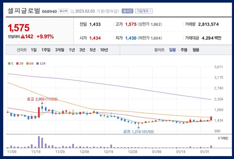 셀피글로벌