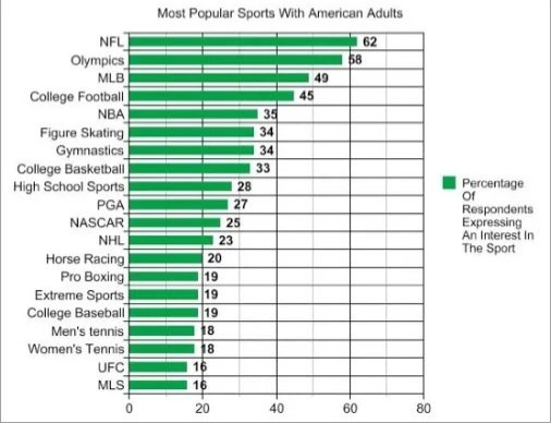 미국 인기 스포츠