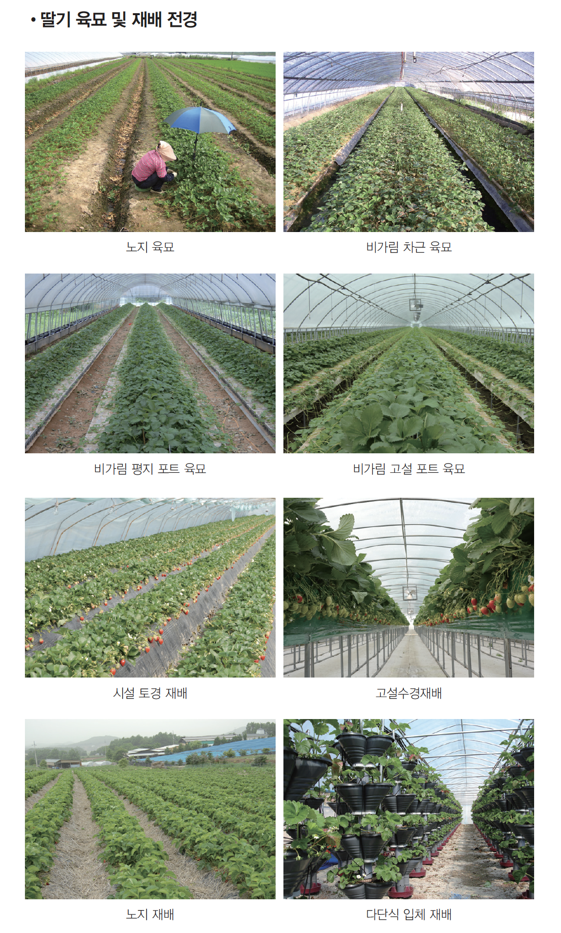과일24 이미지