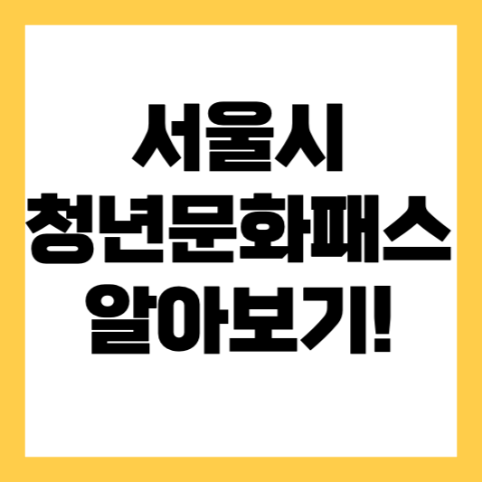 서울 청소년 문화 Pass-About