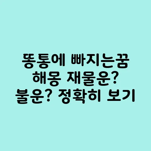 똥통에 빠지는꿈 해몽 재물운? 불운? 정확히 보기