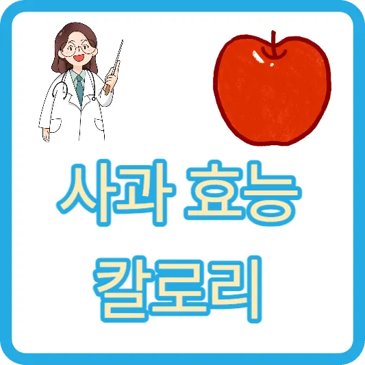 사과 효능 사과껍질 효능 아오리사과 풋사과 후지사과 갈라사과 사과주스 칼로리