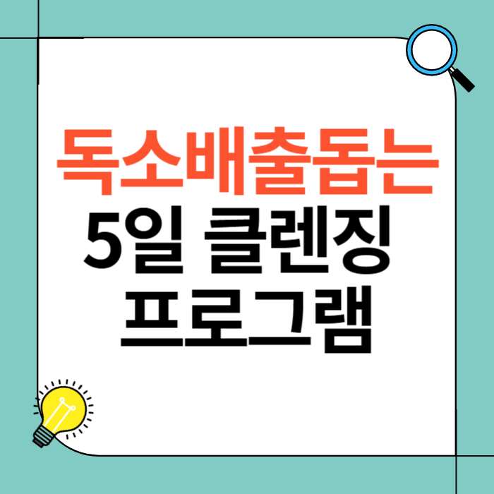 독소 배출을 돕는 5일 클렌징 프로그램