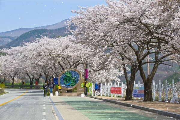 Yeongcheon Imgo Riverside Park