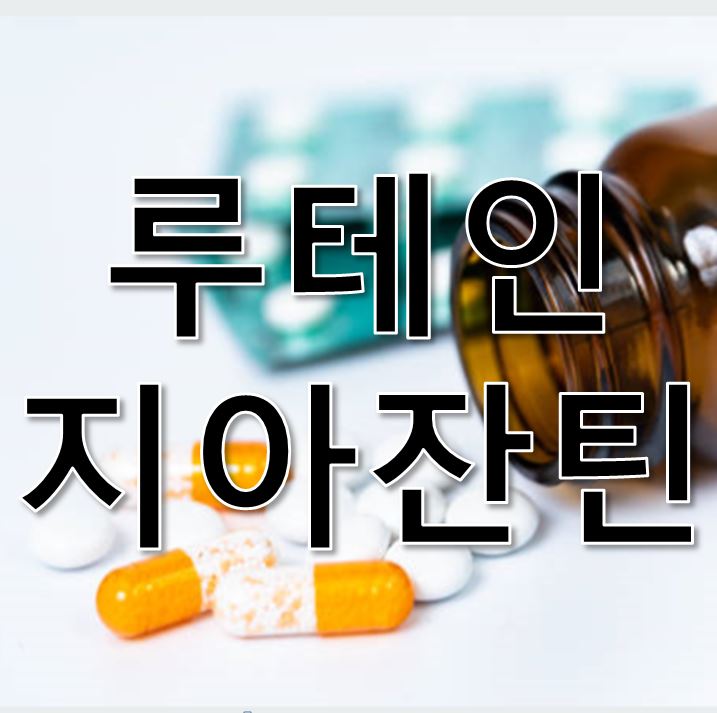  루테인 지아잔틴 효과없다? 루테인 지아잔틴 효능과 역할로 황반변성 예방하기