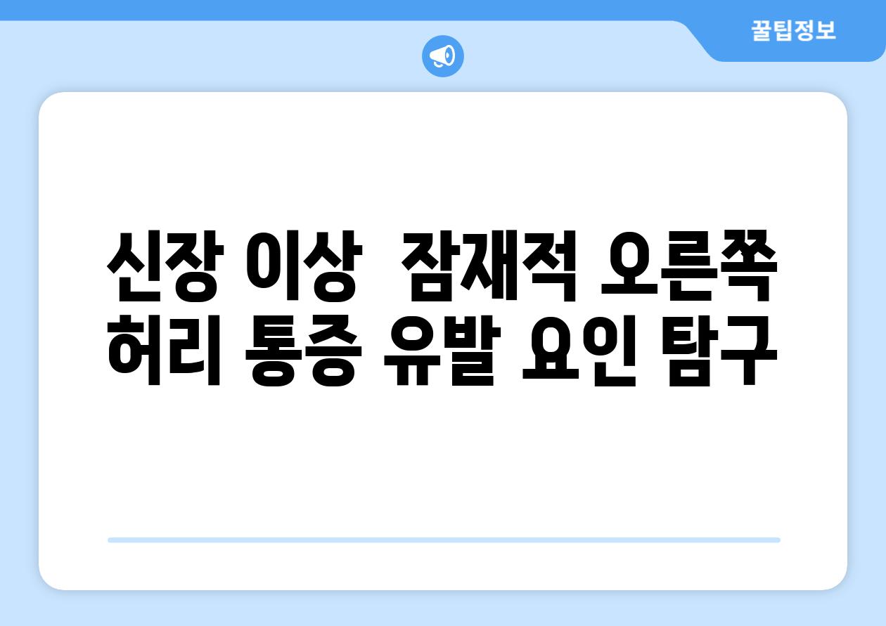 신장 이상  잠재적 오른쪽 허리 통증 유발 요인 탐구