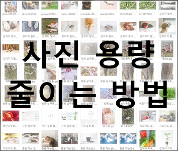  사진 용량 줄이기 프로그램