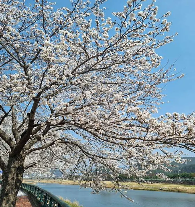 서면마을