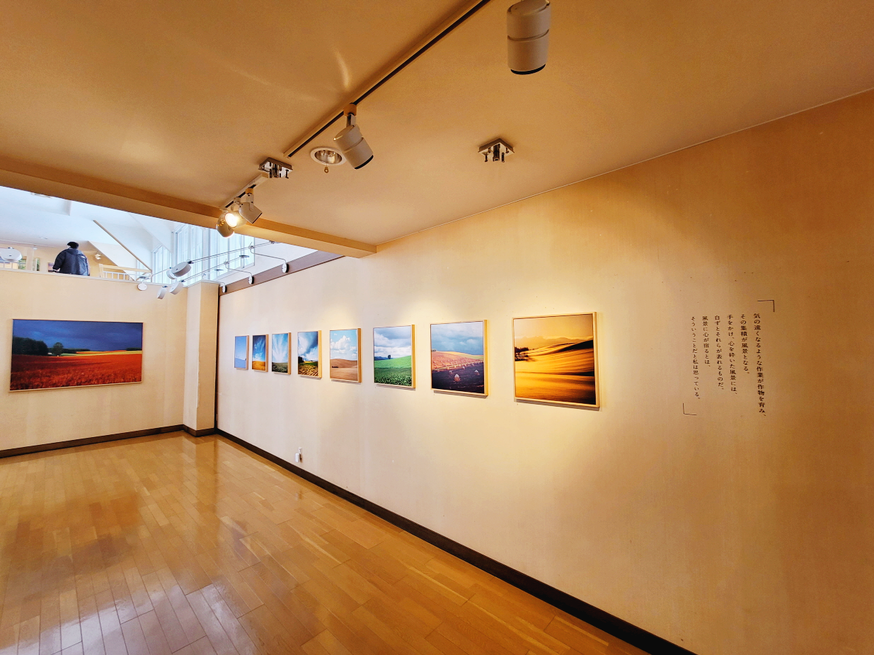 일본 전시 미술관 홋카이도 미술관 전시 japan gallery Museum Hokkaido garllery 비에이 Biei Takushinkan Gallery 拓真館 (たくしんかん)