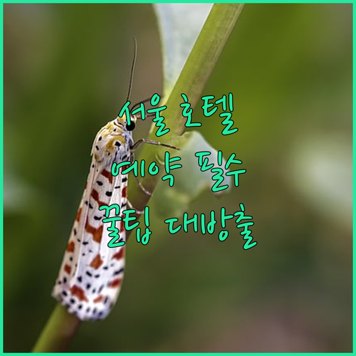 서울 호텔 예약 전 필수 확인 숙소 