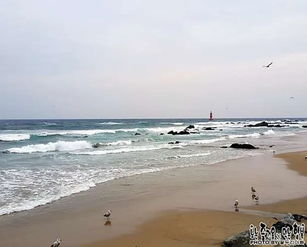 어달해수욕장