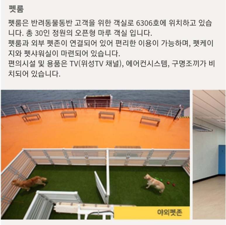 한일고속 골드스텔라 여수에서 배 타고 제주도 가는 방법. 18