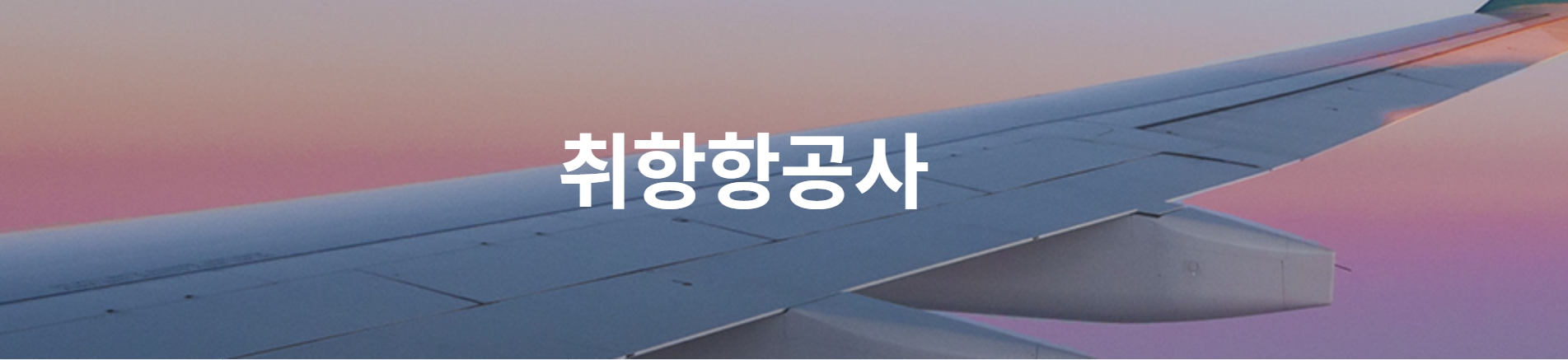 울산공항 취항항공사