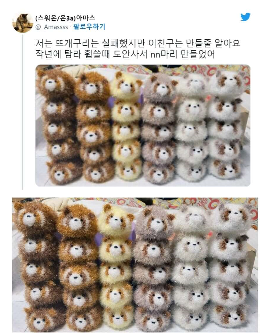 너구리 수세미 트위터1