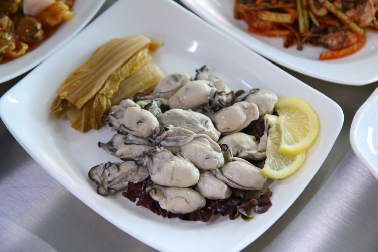  생방송 오늘저녁 통영 굴 구이 요리 전문점 맛집 투데이 위치 가격 정보