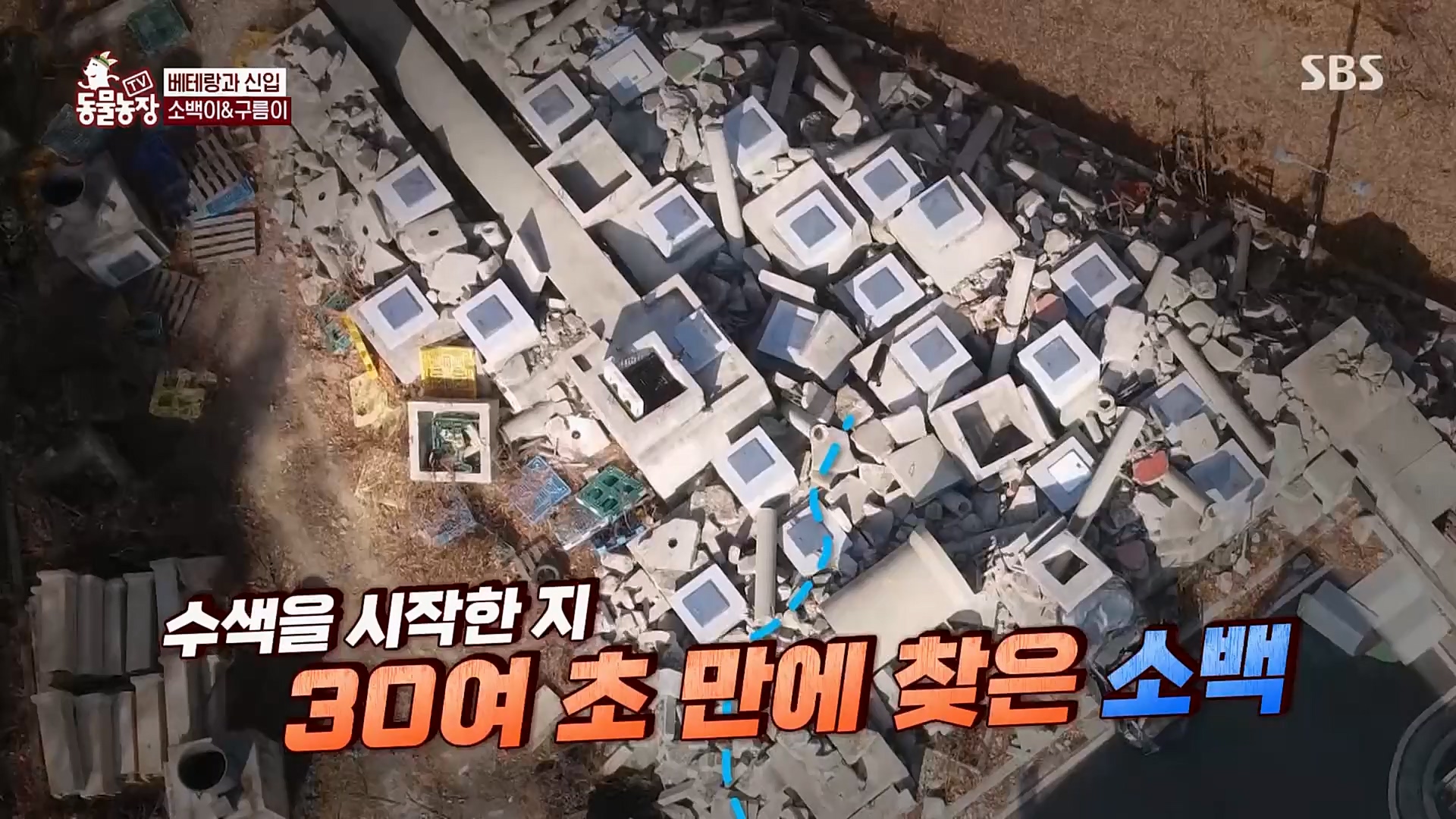TV 동물농장.E1109.230226p.H264-F1RST.mp4_20230226_161922.981.jpg