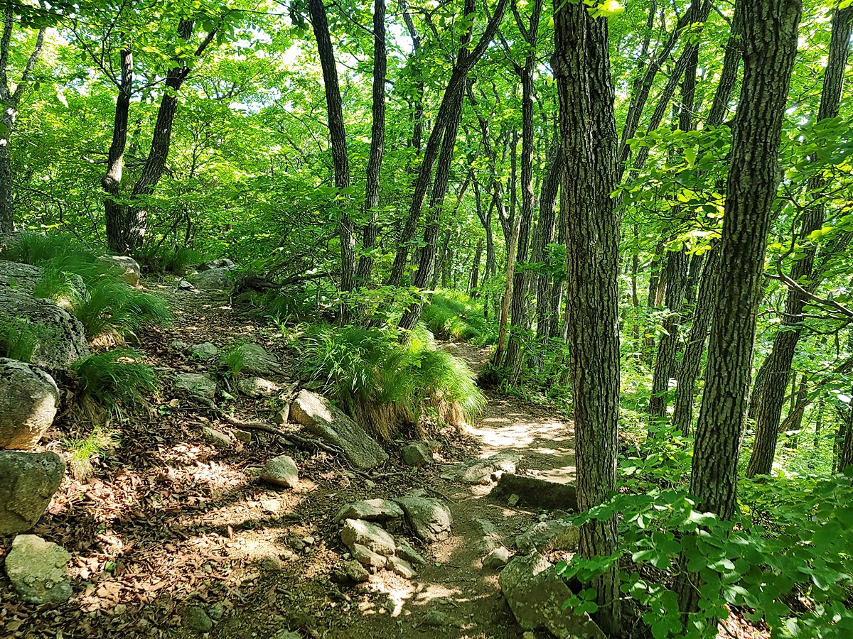 소백산국립공원 희방제2주차장 이미지