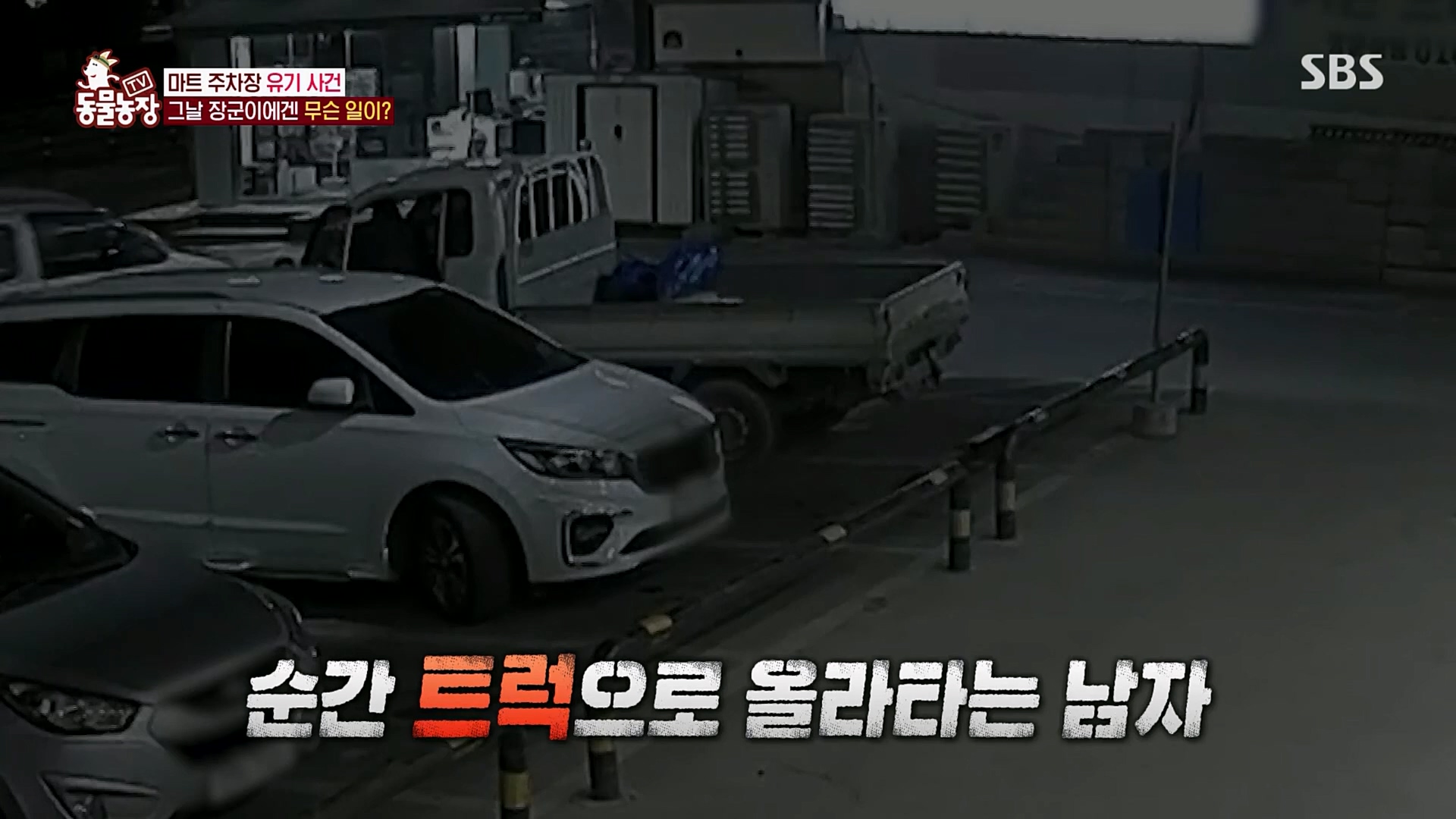 TV 동물농장.E1115.230409p.H264-F1RST.mp4_20230409_173035.544.jpg