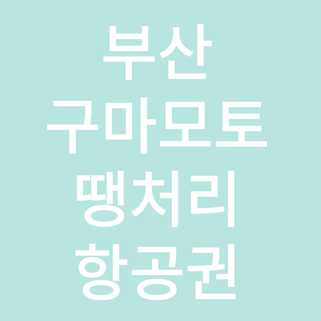 부산 - 구마모토 땡처리 항공권