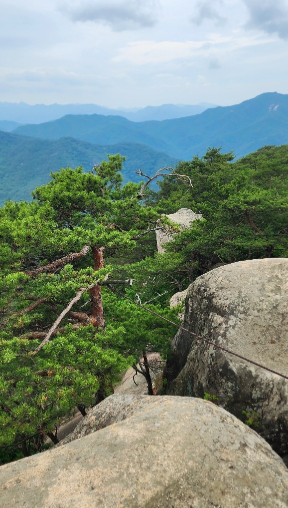 칠보산등산중-바라본-속리산