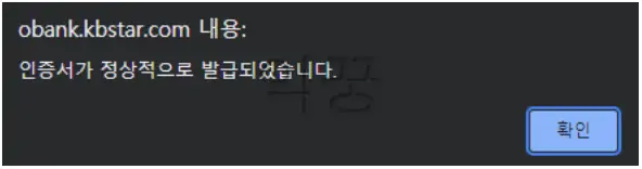 KB국민은행 인터넷 공동인증서 발급 방법 및 후기10