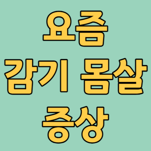 요즘 감기 몸살 증상