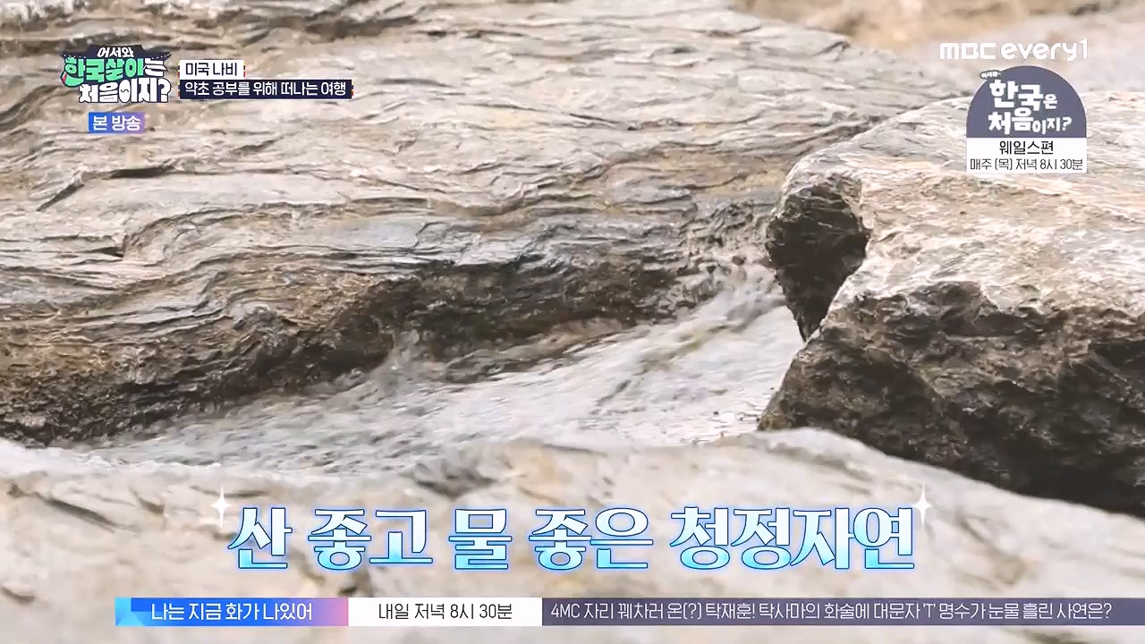 어서와 한국살이는 처음이지.E16.230905p-NEXT.mp4_20230906_204035.029.jpg