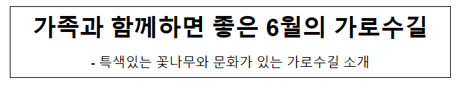  가족과 함께하면 좋은 6월의 가로수길