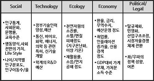 STEEP분석