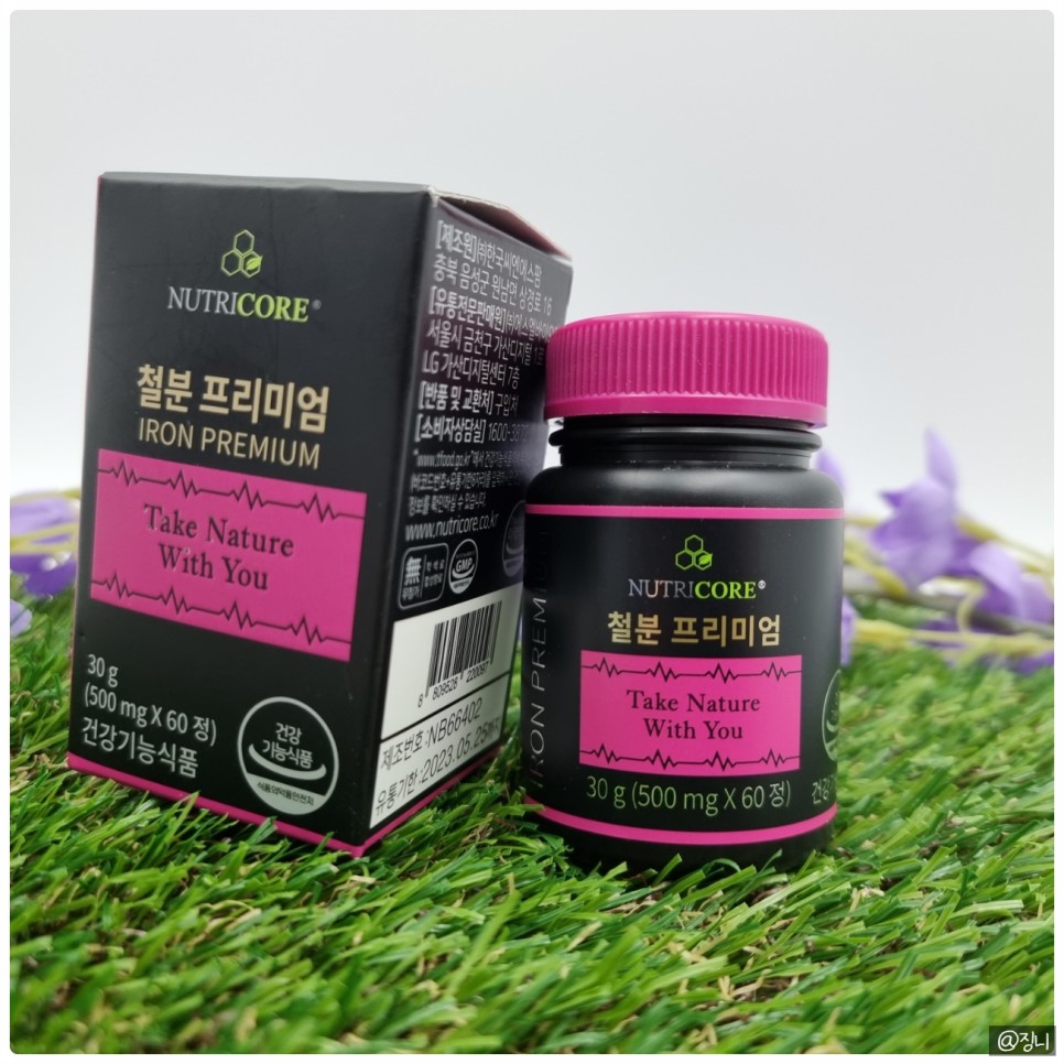 변비없는철분제 5