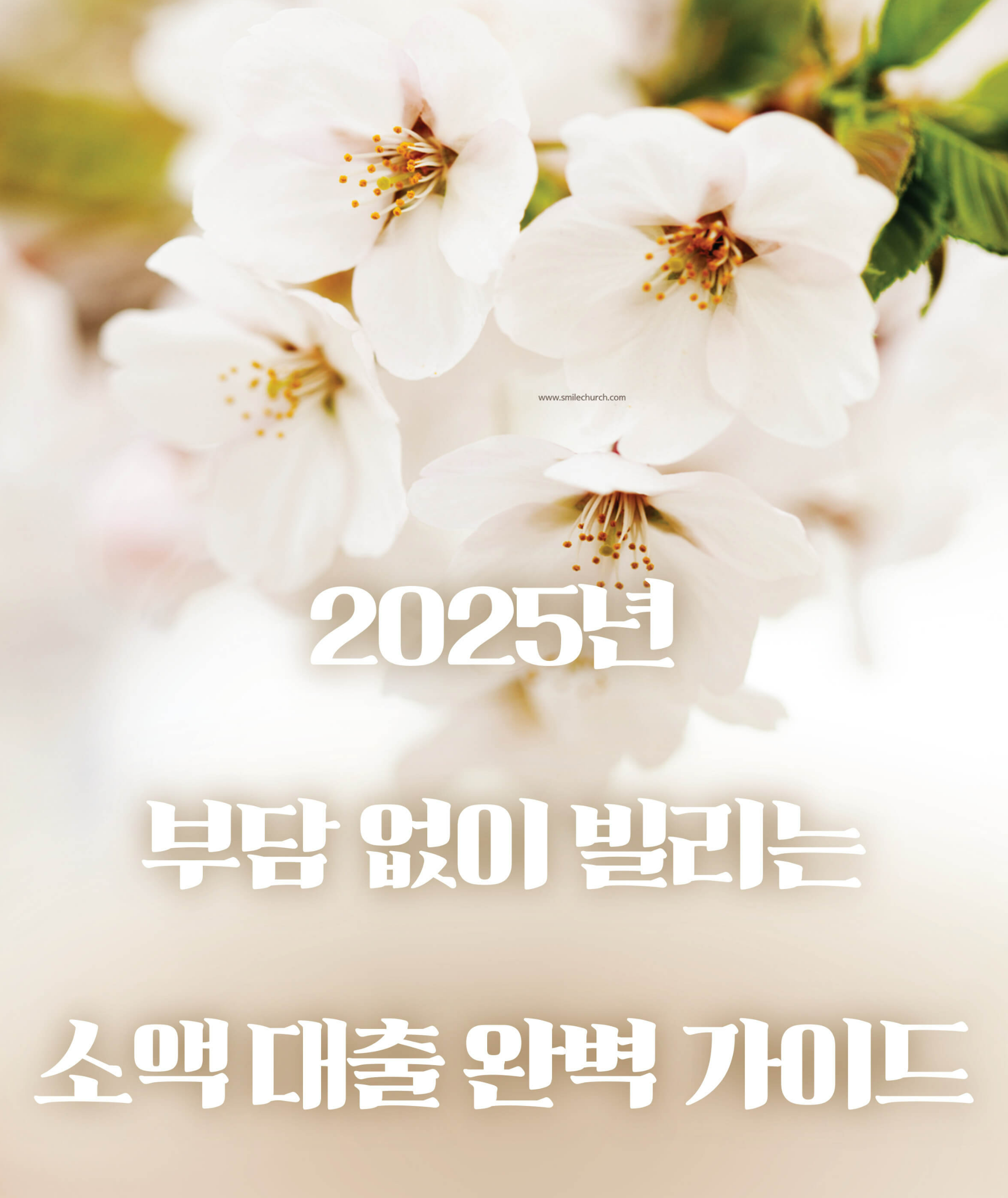 2025 소액대출