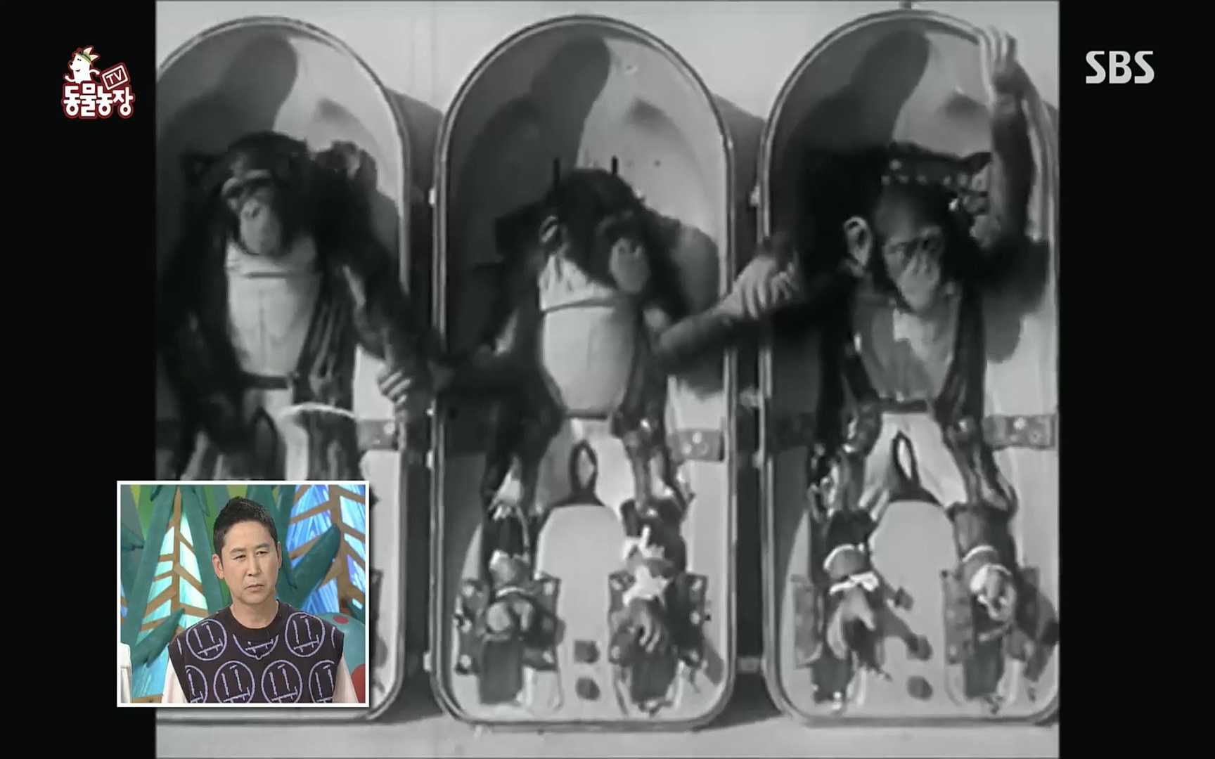 TV 동물농장.E1078.220717p.H264-F1RST.mp4_20220717_151129.210.jpg