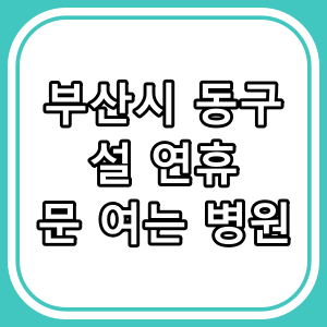 부산시 동구 설날 연휴 문 여는 병원과 약국 [2025년]