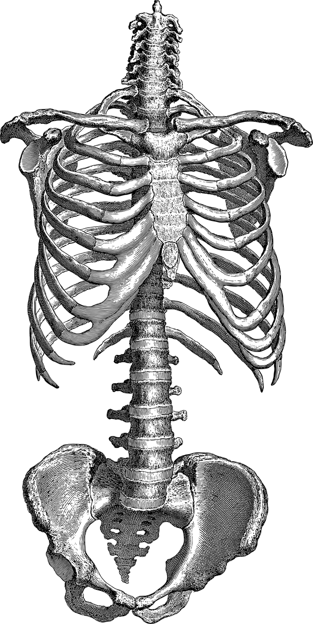 꼬리뼈 통증