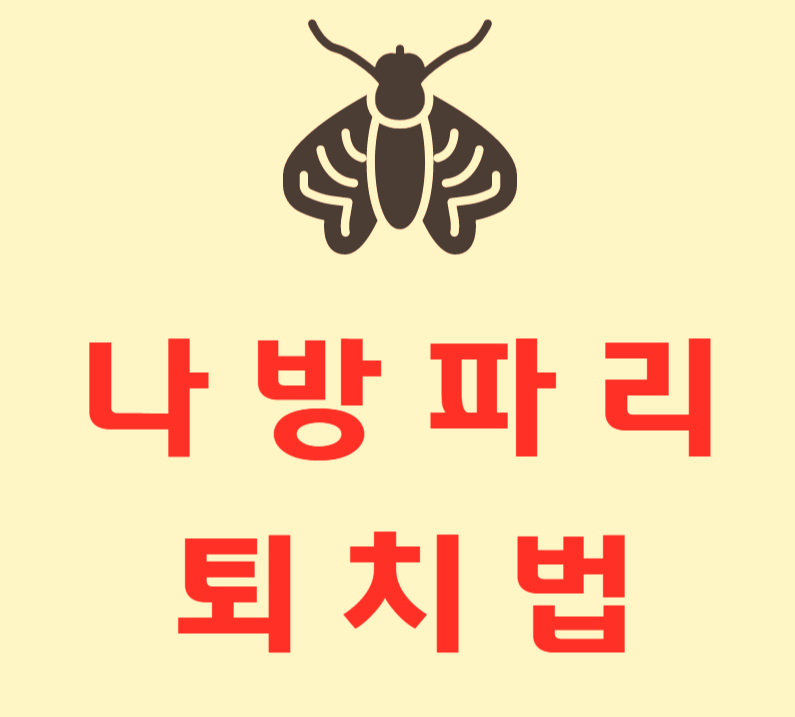  나방파리 퇴치법 정보모음