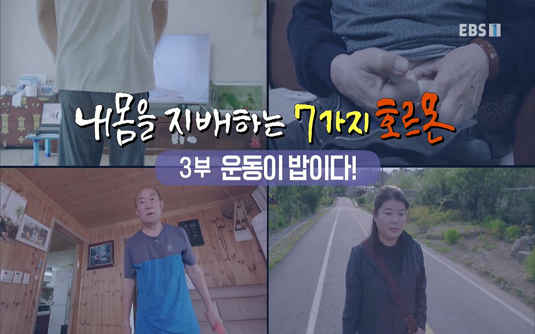 EBS 명의 헬스케어 - TV - 교육의 중심 EBS내 몸을 지배하는 7가지 호르몬 3부, 운동이 밥이다! .mp4_20220711_200433.543.jpg