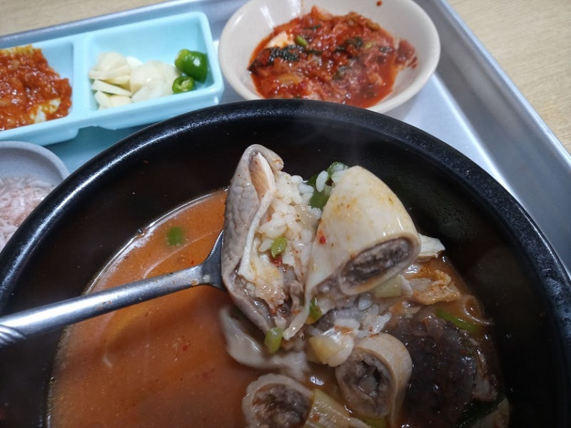 영광식당 이미지