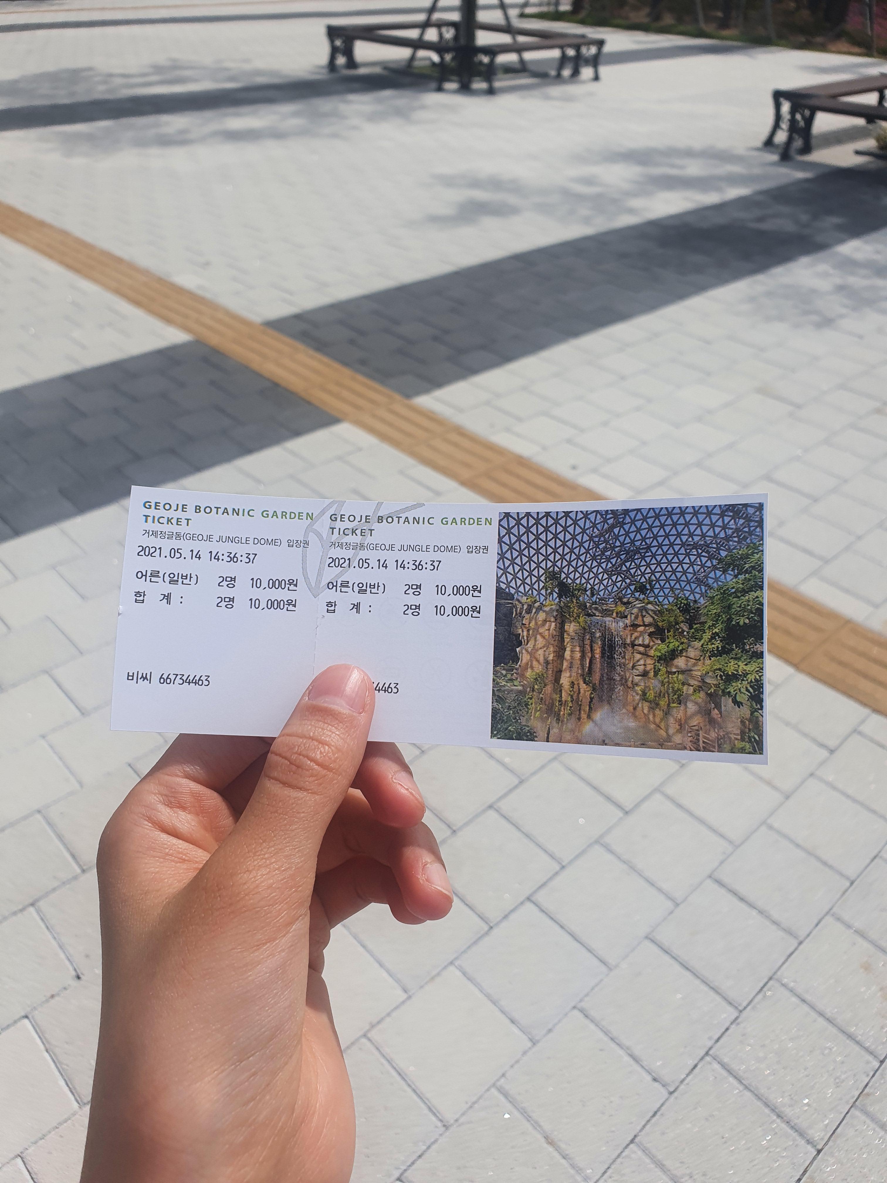  거제 정글돔