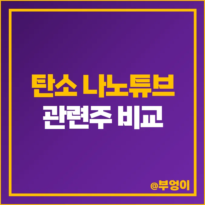 탄소나노튜브 대장주 관련주 TOP5_9
