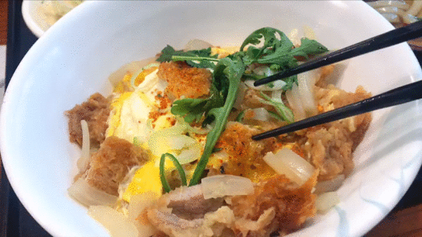  일산 돈까스 맛집 가쯔레쯔 돈까스덮밥 정식 먹어보다 (돈부리)