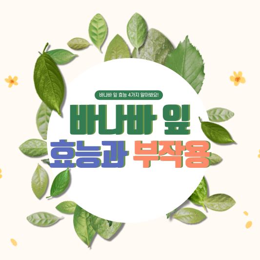  바나바 잎 효능과 부작용, 당뇨 예방부터 심혈관 건강에 좋은 바나바 잎!
